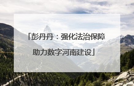 彭丹丹：强化法治保障 助力数字河南建设