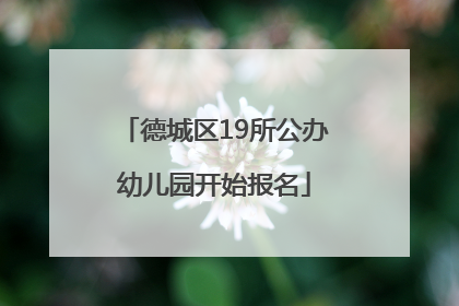 德城区19所公办幼儿园开始报名