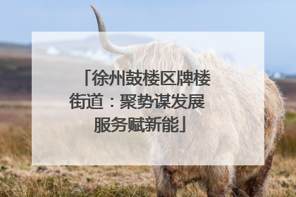 徐州鼓楼区牌楼街道：聚势谋发展 服务赋新能