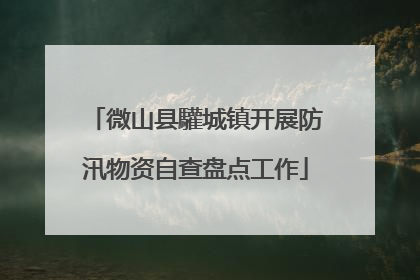 微山县驩城镇开展防汛物资自查盘点工作