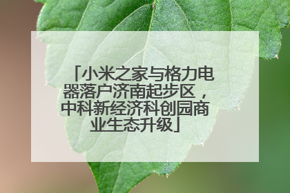 小米之家与格力电器落户济南起步区，中科新经济科创园商业生态升级