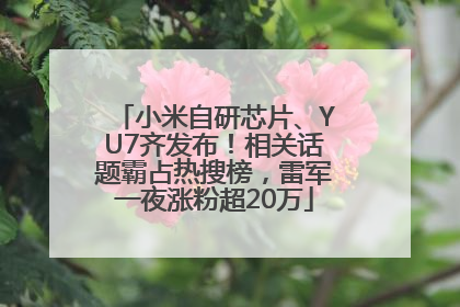 小米自研芯片、YU7齐发布！相关话题霸占热搜榜，雷军一夜涨粉超20万