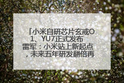 小米自研芯片玄戒O1、YU7正式发布 雷军：小米站上新起点，未来五年研发翻倍再投2000亿元