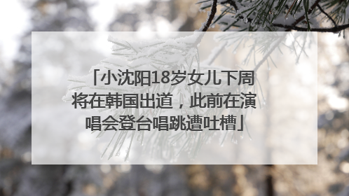 小沈阳18岁女儿下周将在韩国出道，此前在演唱会登台唱跳遭吐槽