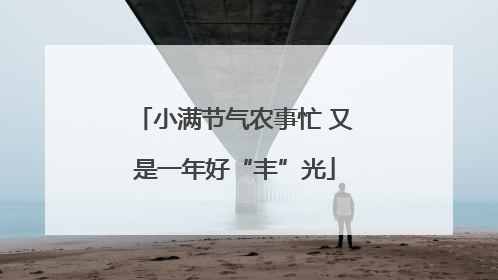 小满节气农事忙 又是一年好“丰”光