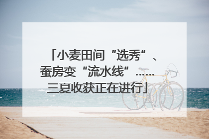 小麦田间“选秀”、蚕房变“流水线”……三夏收获正在进行