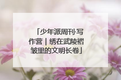 少年派周刊·写作营｜绣在武陵褶皱里的文明长卷