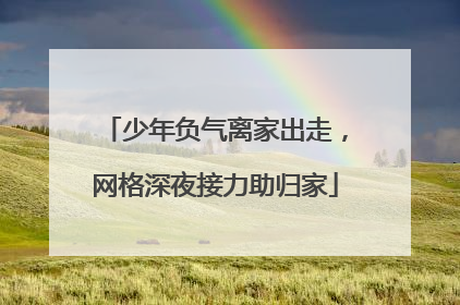 少年负气离家出走，网格深夜接力助归家
