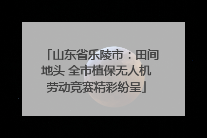 山东省乐陵市：田间地头 全市植保无人机劳动竞赛精彩纷呈