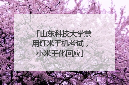 山东科技大学禁用红米手机考试，小米王化回应