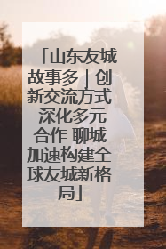 山东友城故事多｜创新交流方式 深化多元合作 聊城加速构建全球友城新格局