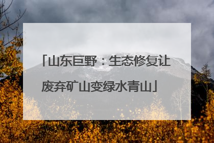 山东巨野：生态修复让废弃矿山变绿水青山