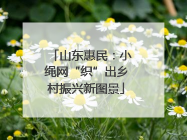 山东惠民：小绳网“织”出乡村振兴新图景