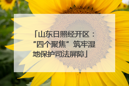 山东日照经开区：“四个聚焦”筑牢湿地保护司法屏障