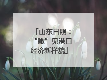 山东日照：“瞰”见港口经济新样貌