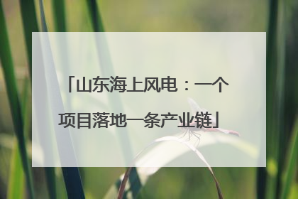 山东海上风电：一个项目落地一条产业链