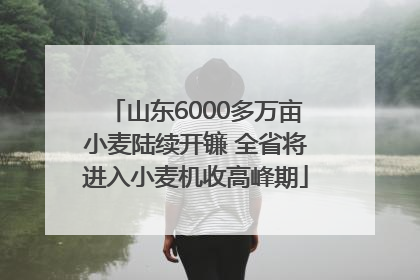山东6000多万亩小麦陆续开镰 全省将进入小麦机收高峰期