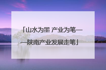 山水为墨 产业为笔——陕南产业发展走笔