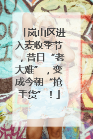 岚山区进入麦收季节，昔日“老大难”，变成今朝“抢手货”！