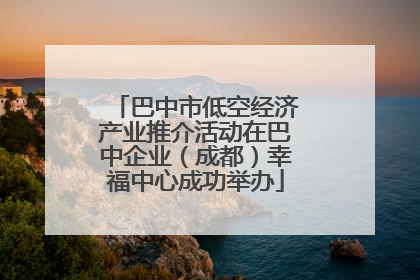 巴中市低空经济产业推介活动在巴中企业（成都）幸福中心成功举办