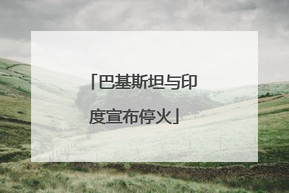 巴基斯坦与印度宣布停火
