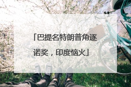 巴提名特朗普角逐诺奖，印度恼火