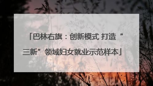 巴林右旗：创新模式 打造“三新”领域妇女就业示范样本