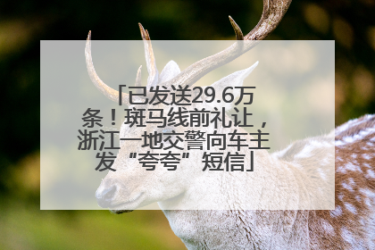已发送29.6万条！斑马线前礼让，浙江一地交警向车主发“夸夸”短信