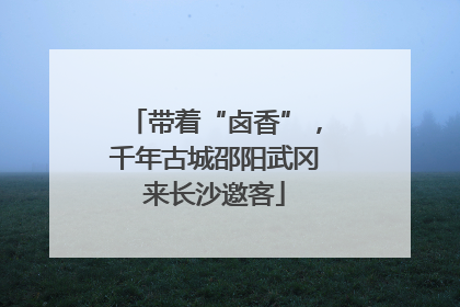 带着“卤香”，千年古城邵阳武冈来长沙邀客