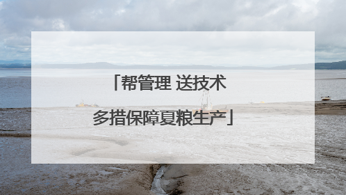 帮管理 送技术 多措保障夏粮生产