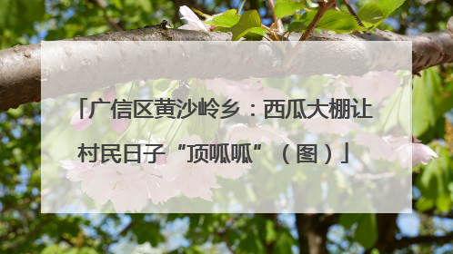 广信区黄沙岭乡：西瓜大棚让村民日子“顶呱呱”（图）