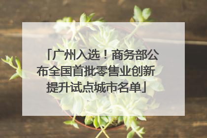 广州入选！商务部公布全国首批零售业创新提升试点城市名单