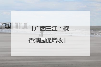 广西三江：椒香满园促增收