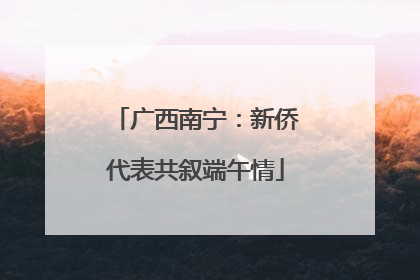 广西南宁：新侨代表共叙端午情