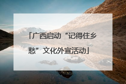 广西启动“记得住乡愁”文化外宣活动