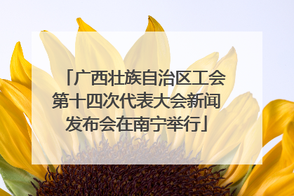 广西壮族自治区工会第十四次代表大会新闻发布会在南宁举行