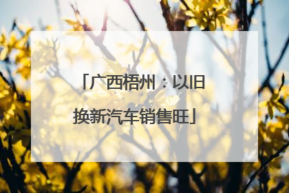 广西梧州：以旧换新汽车销售旺
