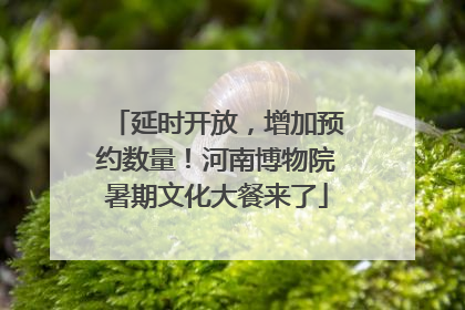 延时开放，增加预约数量！河南博物院暑期文化大餐来了