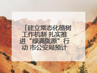 建立常态化植树工作机制 扎实推进“绿满陇原”行动 市公安局预计年底前完成1402亩绿化任务