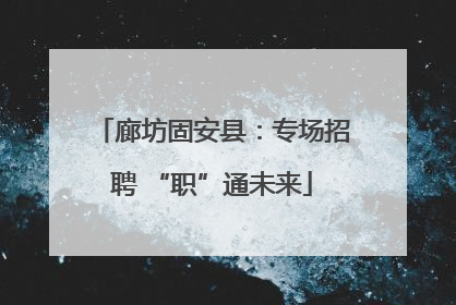 廊坊固安县：专场招聘 “职”通未来
