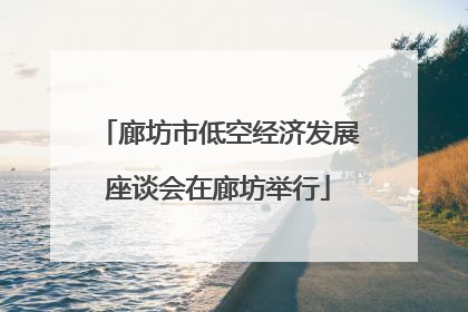 廊坊市低空经济发展座谈会在廊坊举行