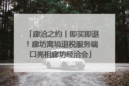廊洽之约丨即买即退！廊坊离境退税服务端口亮相廊坊经洽会