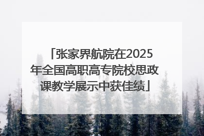 张家界航院在2025年全国高职高专院校思政课教学展示中获佳绩