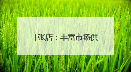 张店：丰富市场供给 优化旅游服务