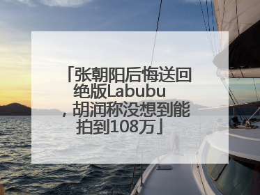 张朝阳后悔送回绝版Labubu，胡润称没想到能拍到108万