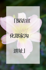 探访宣化郑家沟遗址