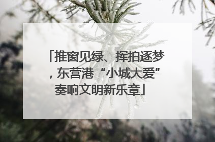 推窗见绿、挥拍逐梦，东营港“小城大爱”奏响文明新乐章