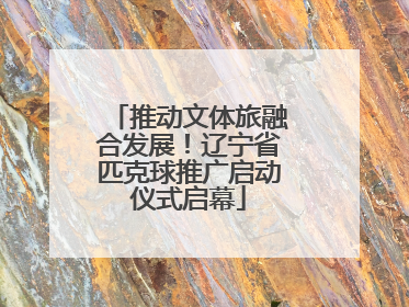 推动文体旅融合发展！辽宁省匹克球推广启动仪式启幕