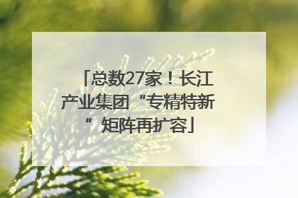 总数27家！长江产业集团“专精特新”矩阵再扩容