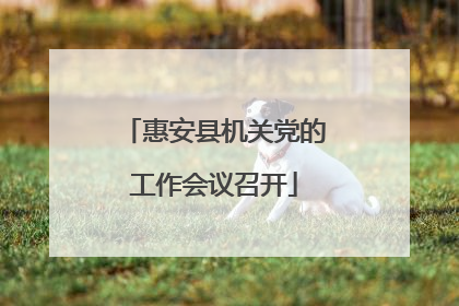 惠安县机关党的工作会议召开